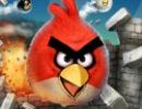 لعبة angry birds